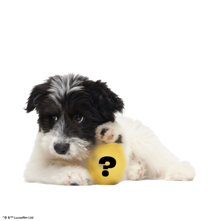 Star Wars™ Droid - C-3PO™