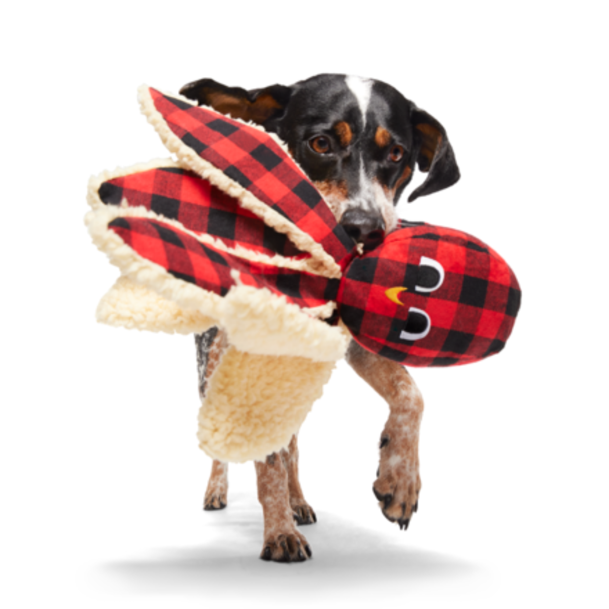 Plaid Party Plush Dog Toy & Treat Holiday Gift Box