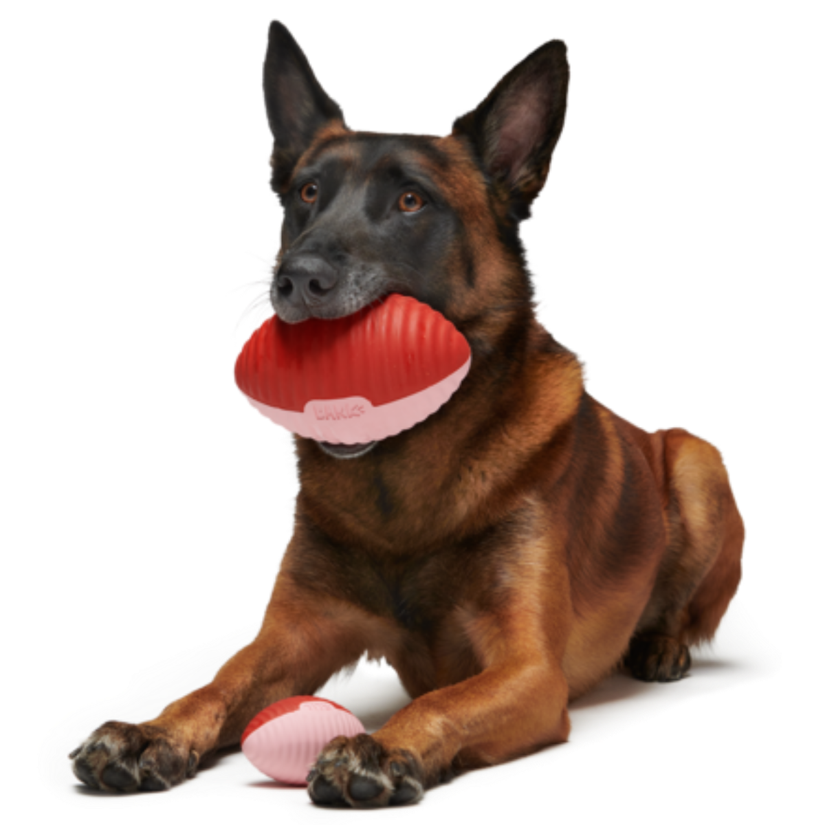 Red Zone Football Durable Super Chewer Fetch Dog Toy