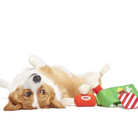 Do-It-Your-Elf Toolbelt Wearable Multipart Plush Dog Toy