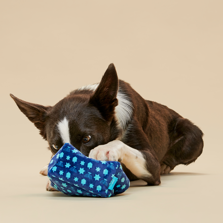 Woofganiyot Hanukkah Multi-Part Plush Toy