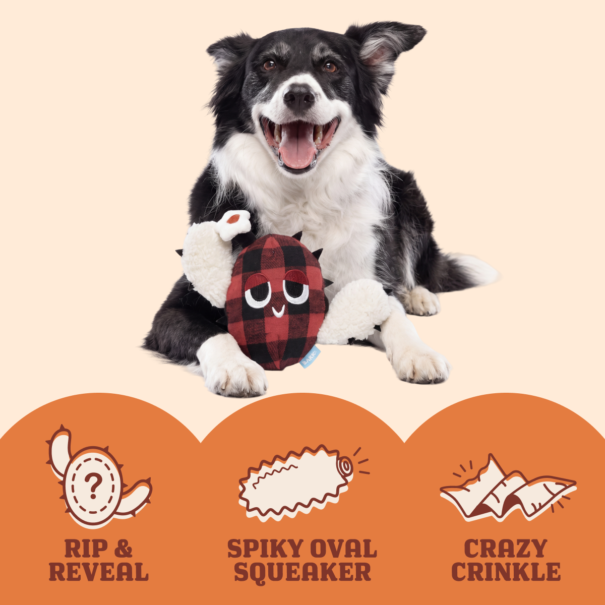 Consuela the Cactus Club, Plush 2-in-1 Monthly Dog Toys