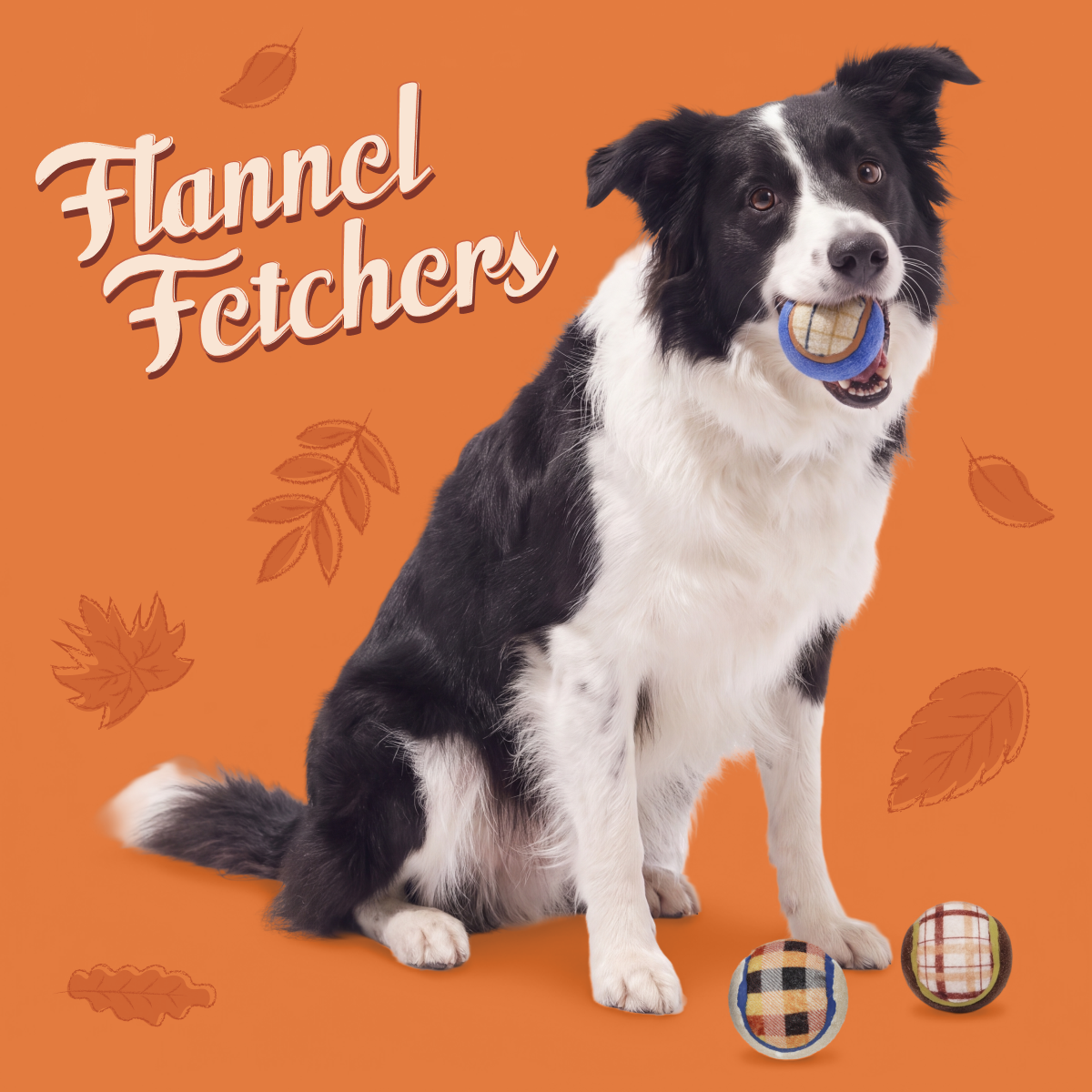 Tennis Ball Club, 3 Squeaky Monthly Tennis Ball Dog Toys