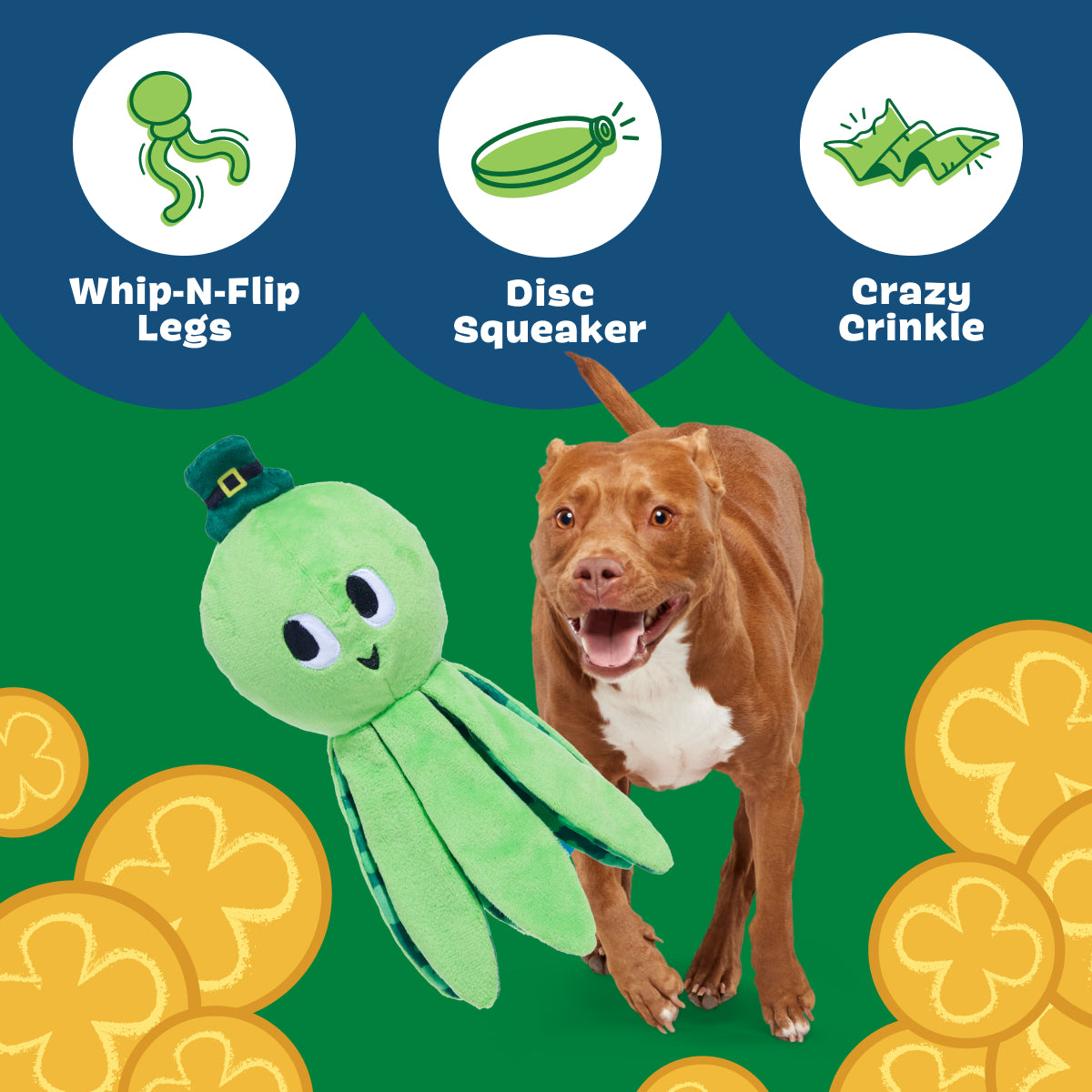 Ollie the Octopus Club