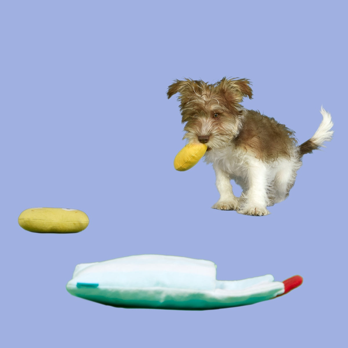 Dr. Brindlecoat's Belly Beans Plush Multi-Part + Enrichment Dog Toy