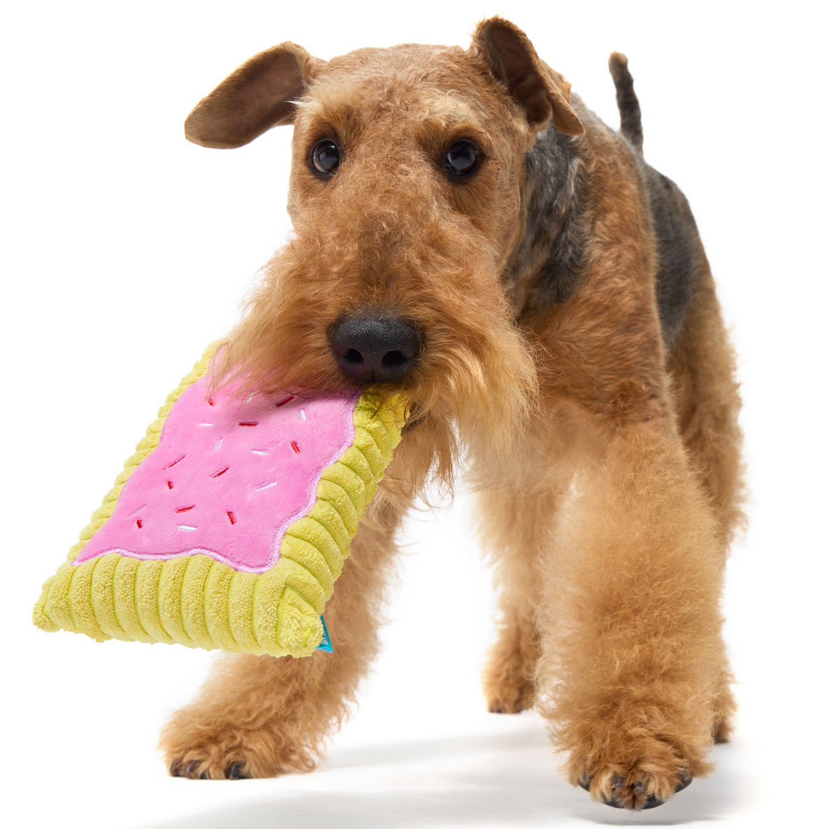 Pup Tart Plush Dog Toy