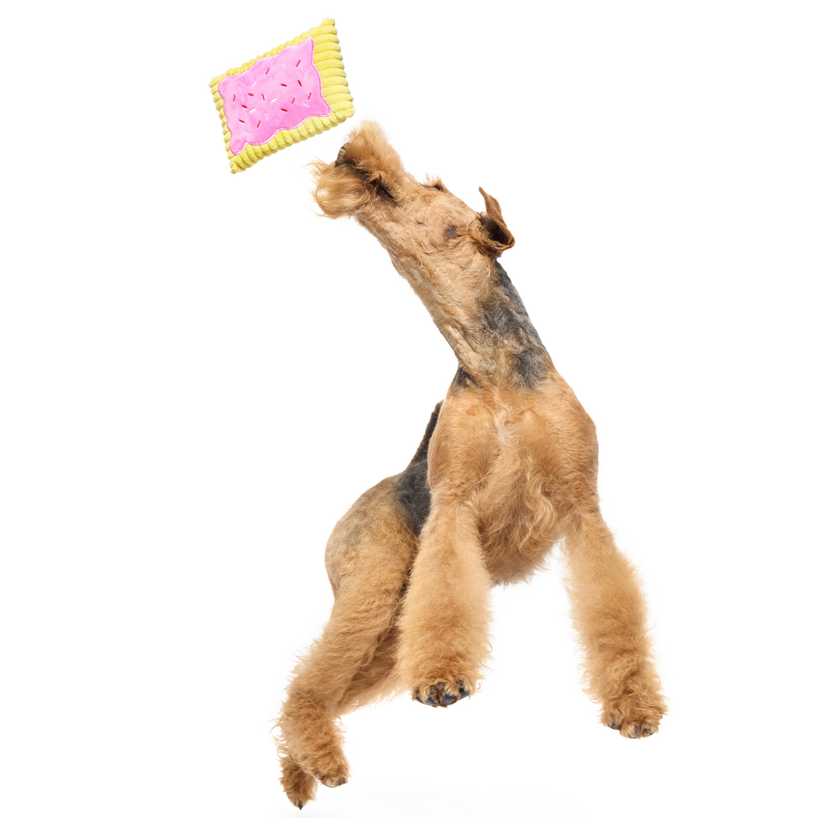 Pup Tart Plush Dog Toy