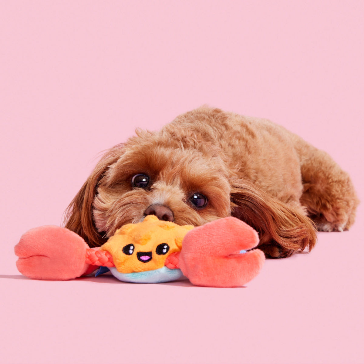 Sally Bitefoot Crab Plush Tug Dog Toy