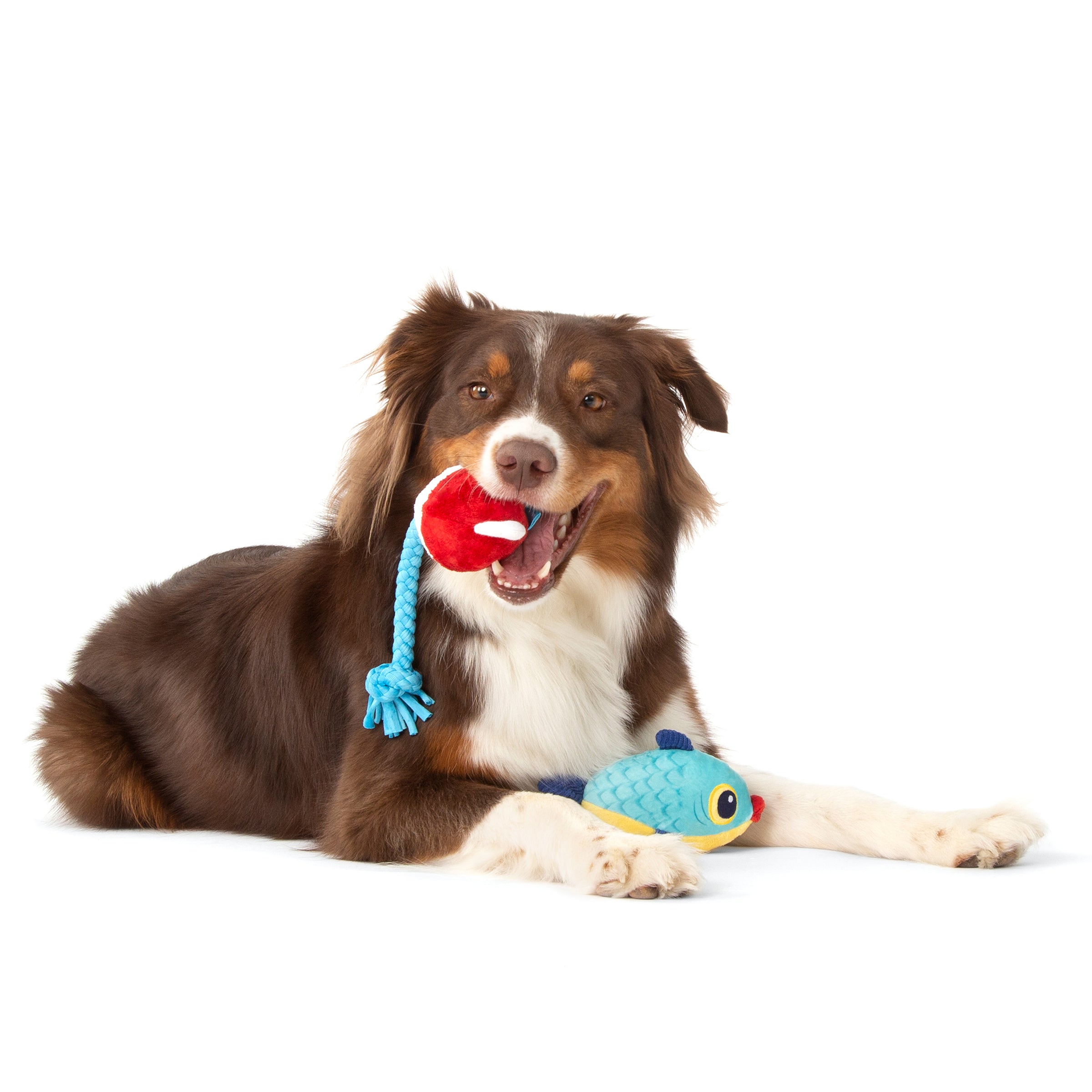 Hook Line and Squeaker