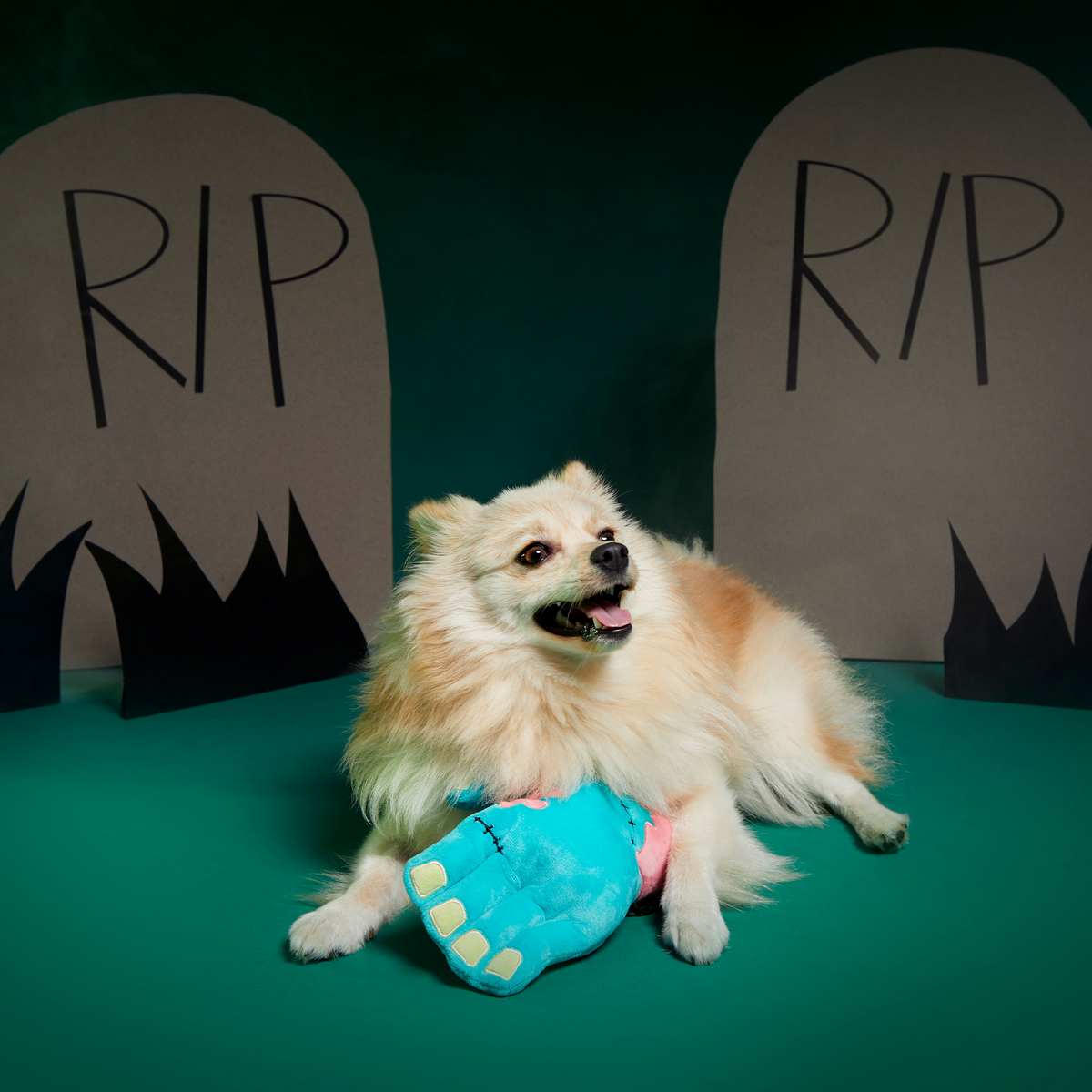 Die Five Plush Tug Dog Toy