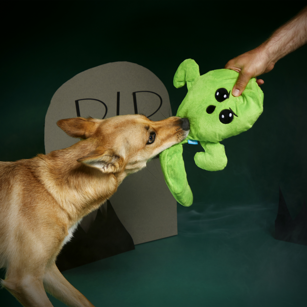 Balltergeist Plush Extra-Large + Tug Dog Toy