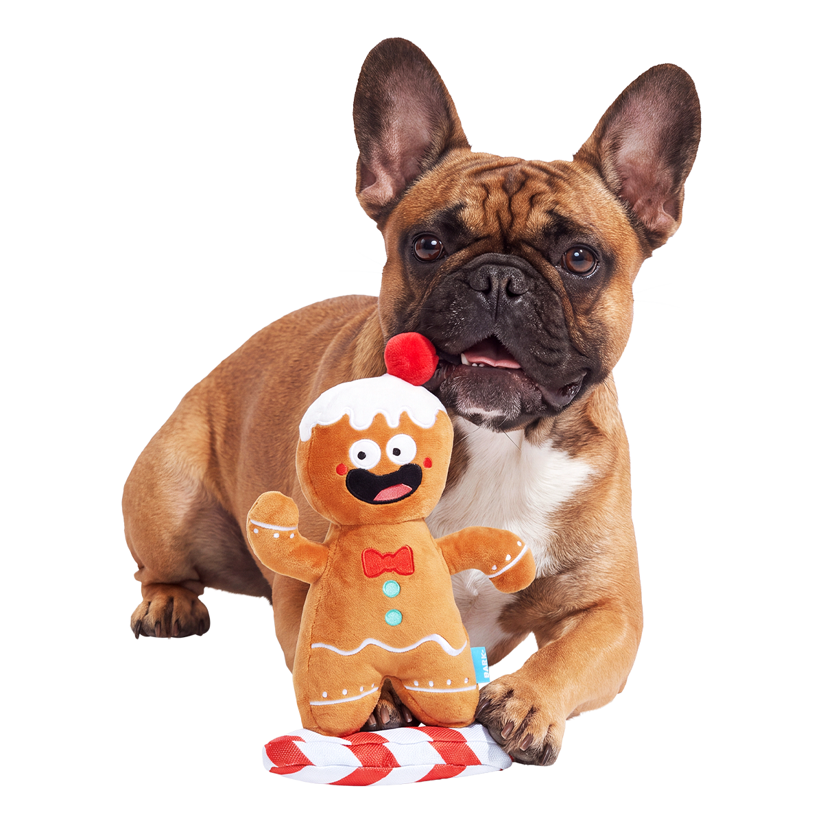 Gingershred Man Plush Extra-Large + Tug Dog Toy