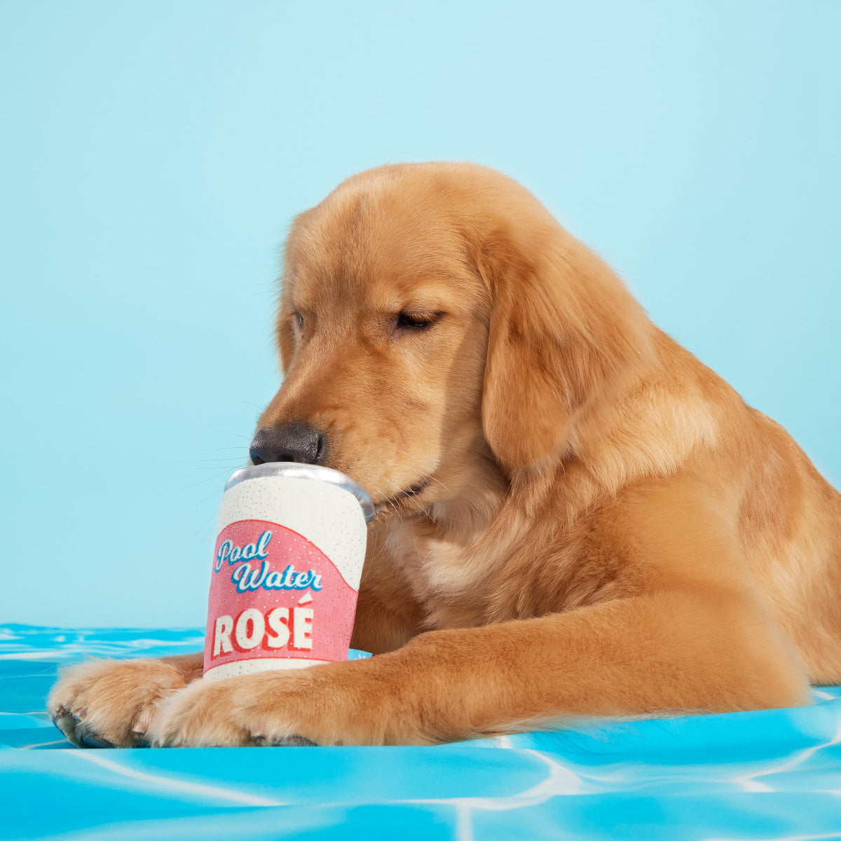 Pool Water Rose Plush Dog Toy