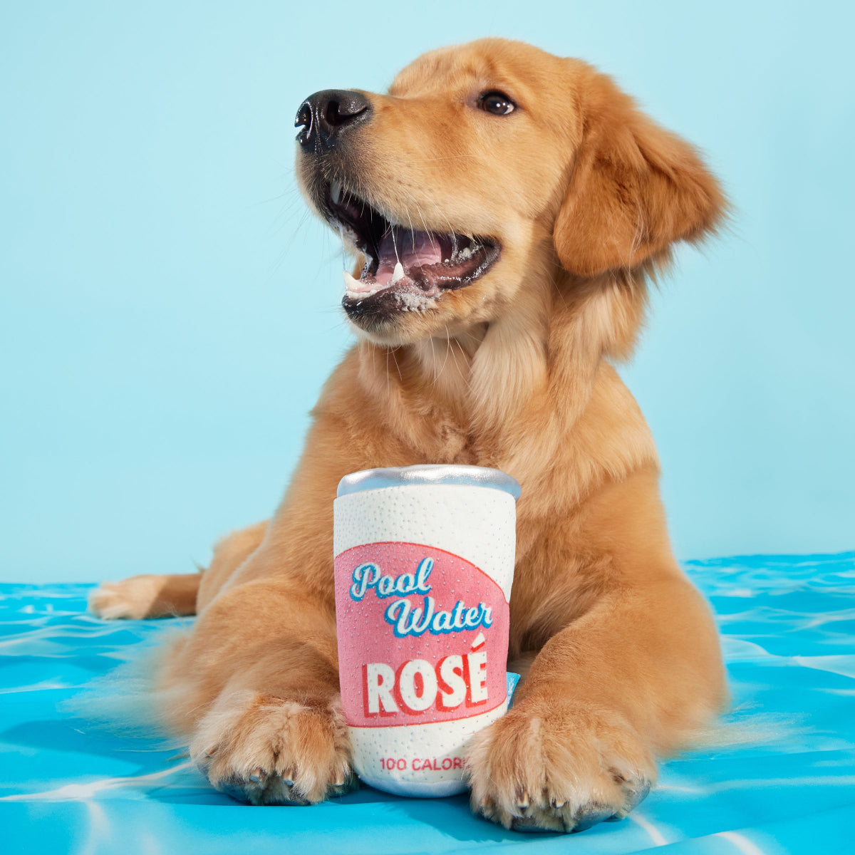 Pool Water Rose Plush Dog Toy