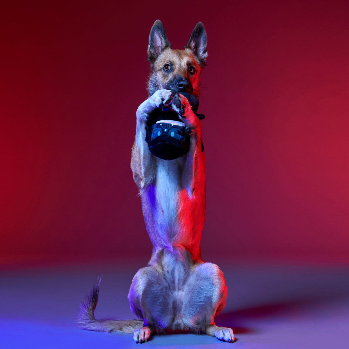 Dark Side Star Wars™ Plush Bundle Tug + Multi-Part Dog Toy