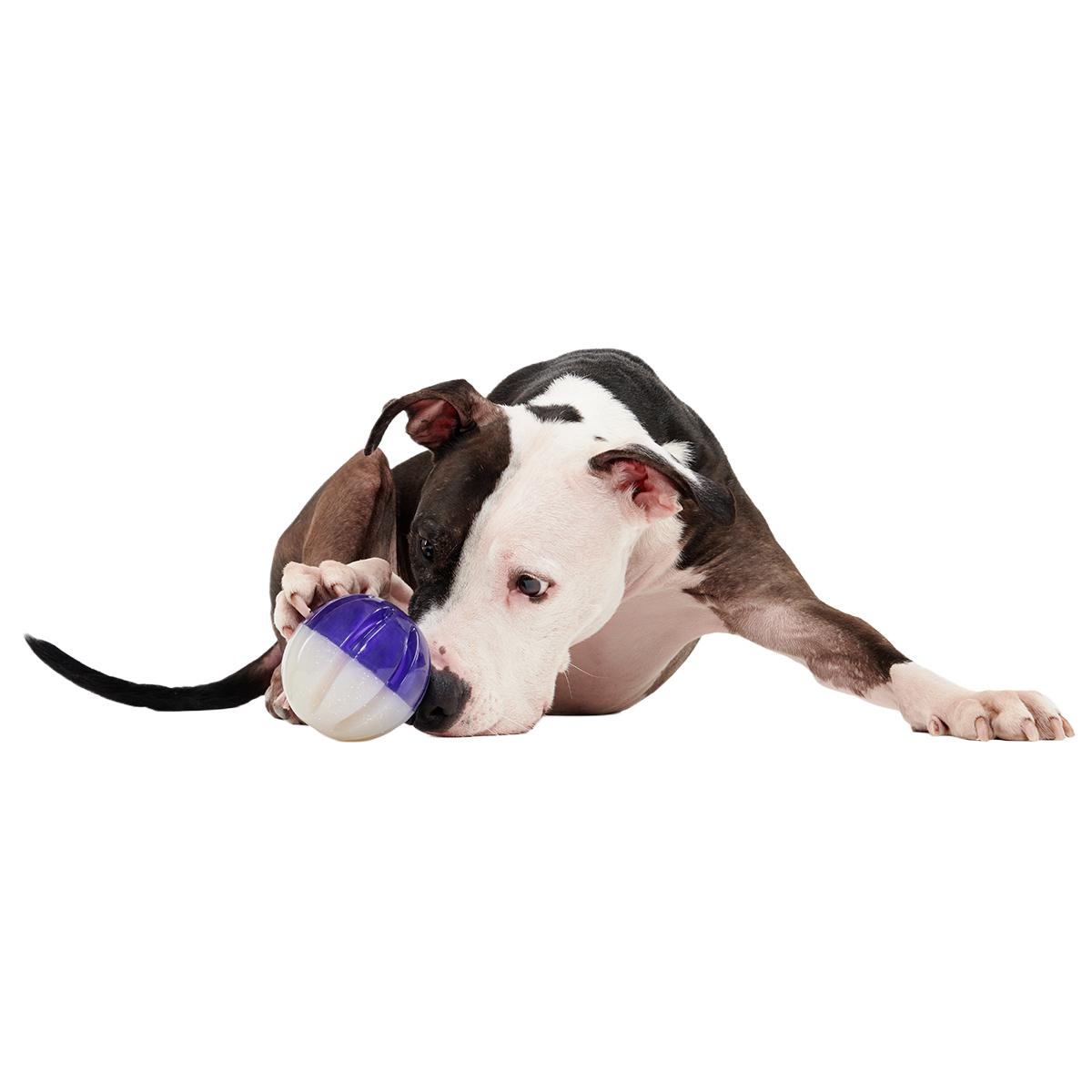 Nepzoom Super Chewer Durable Enrichment + Fetch Dog Toy