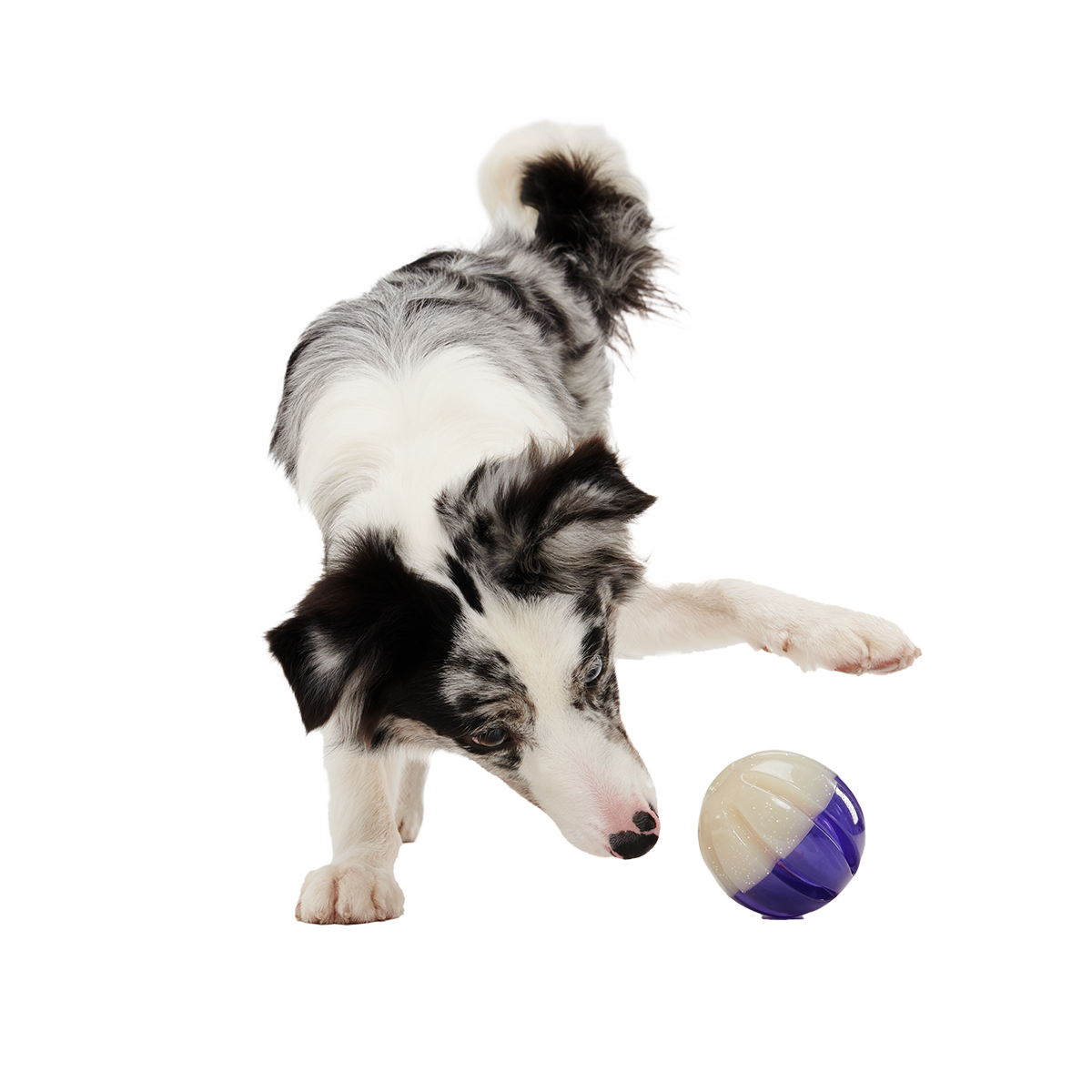 Nepzoom Super Chewer Durable Enrichment + Fetch Dog Toy