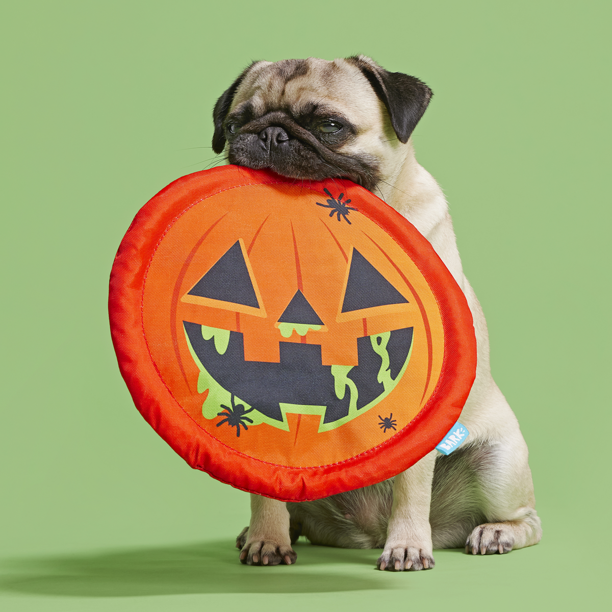 Jack-Throw-Lantern Plush Fetch Dog Toy