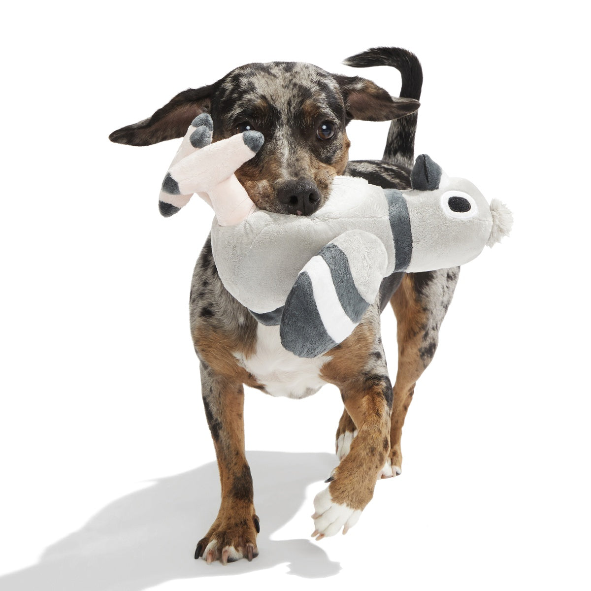 Flappin' Flossie Plush Tug Dog Toy