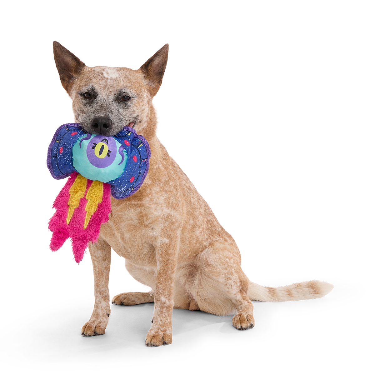 Blast Arf! Plush Tug Dog Toy