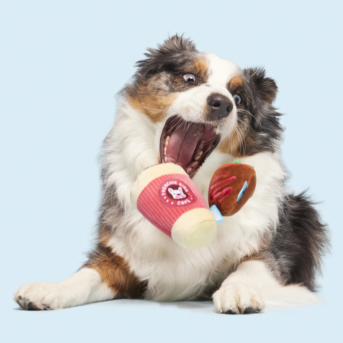 French Kiss Coffee Kit Plush Multi-Part Dog Toy