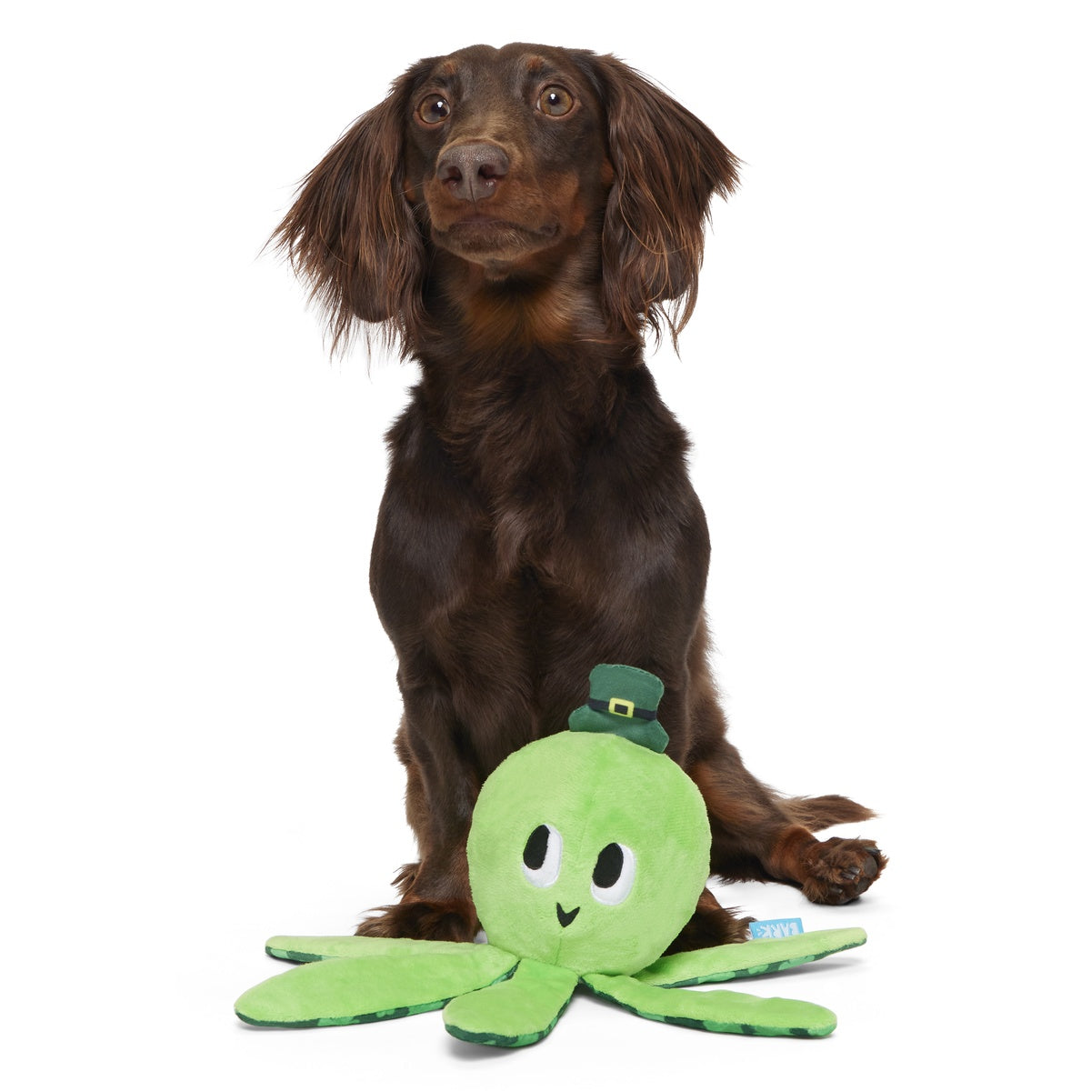 Odd McOllie Plush Tug Dog Toy