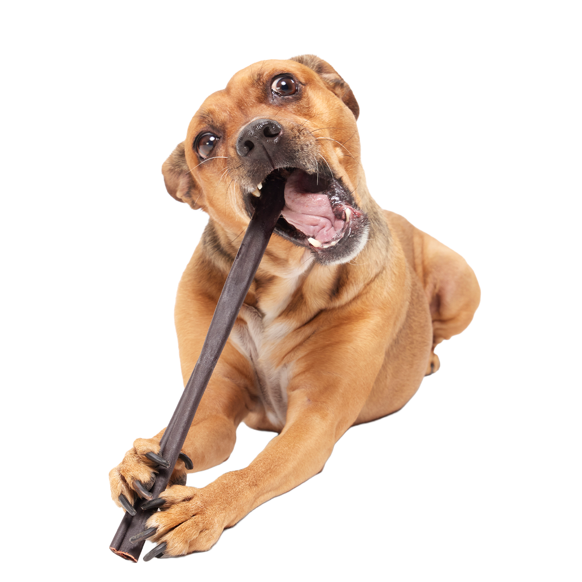 Classic Chewin' Collagen Dog Chew#Size_12 Inch