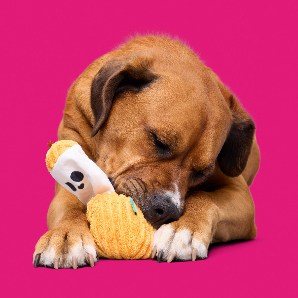 Eek-a-Boo Pumpkin Plush Enrichment Dog Toy