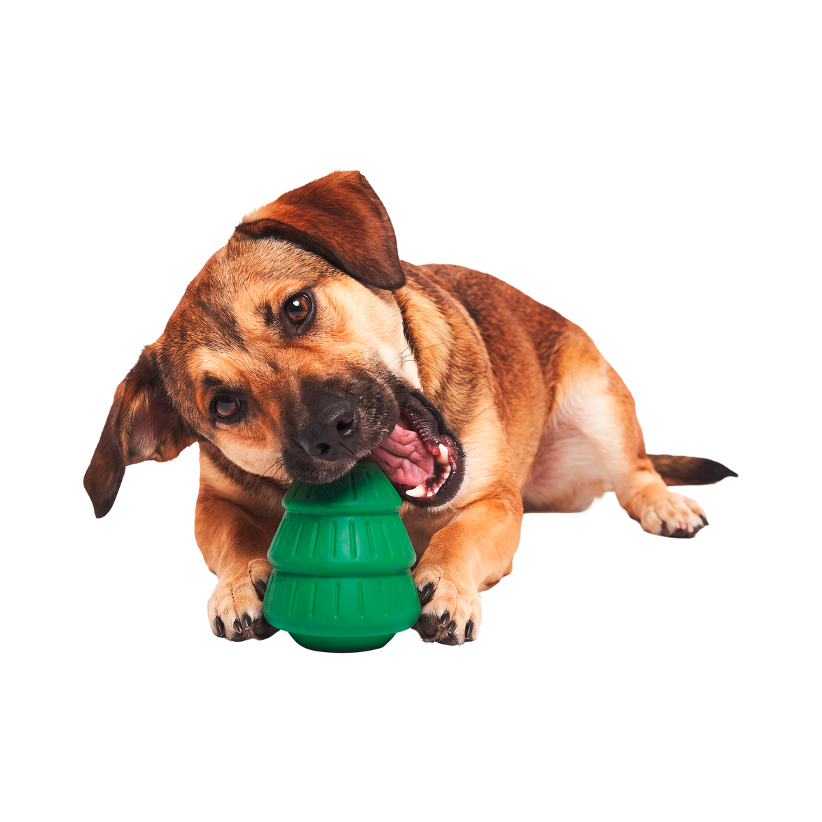 O'Christmas Tree Dog Toy and Dog Treat Bundle