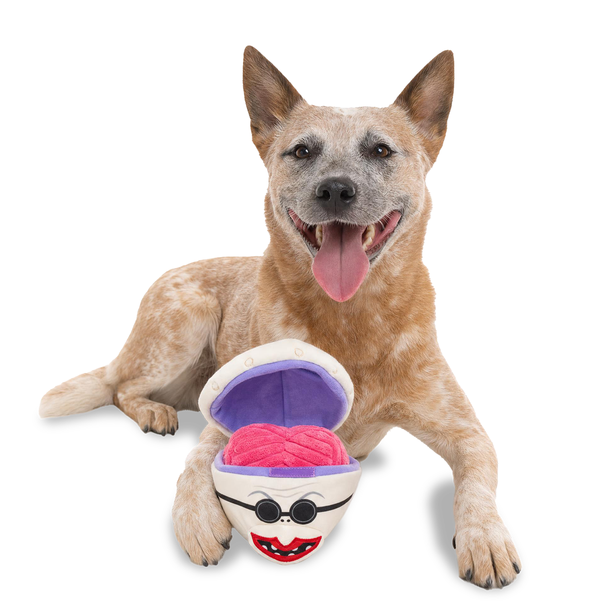 Dogtor Finkelstein Plush Multi-Part + Enrichment Dog Toy