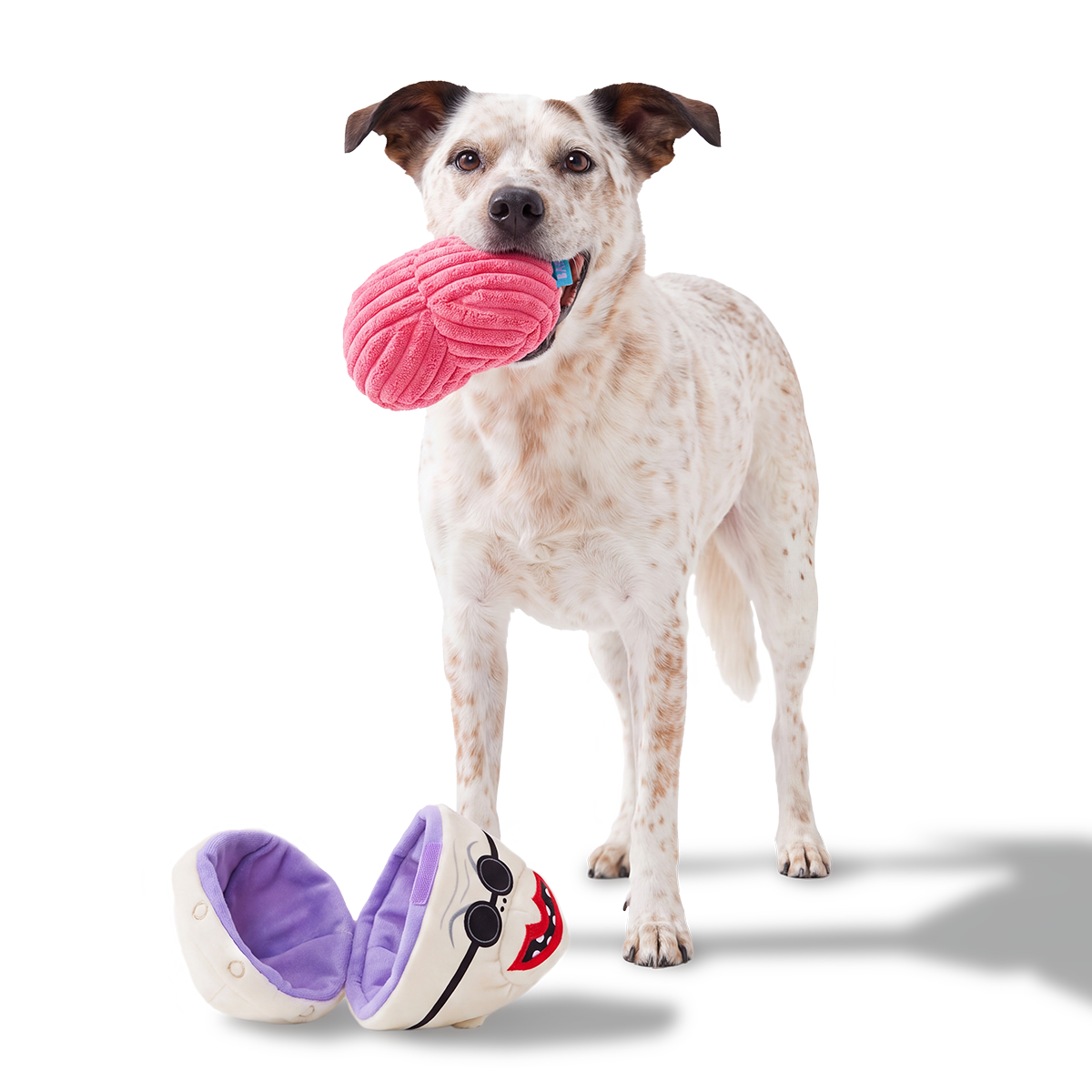 Dogtor Finkelstein Plush Multi-Part + Enrichment Dog Toy