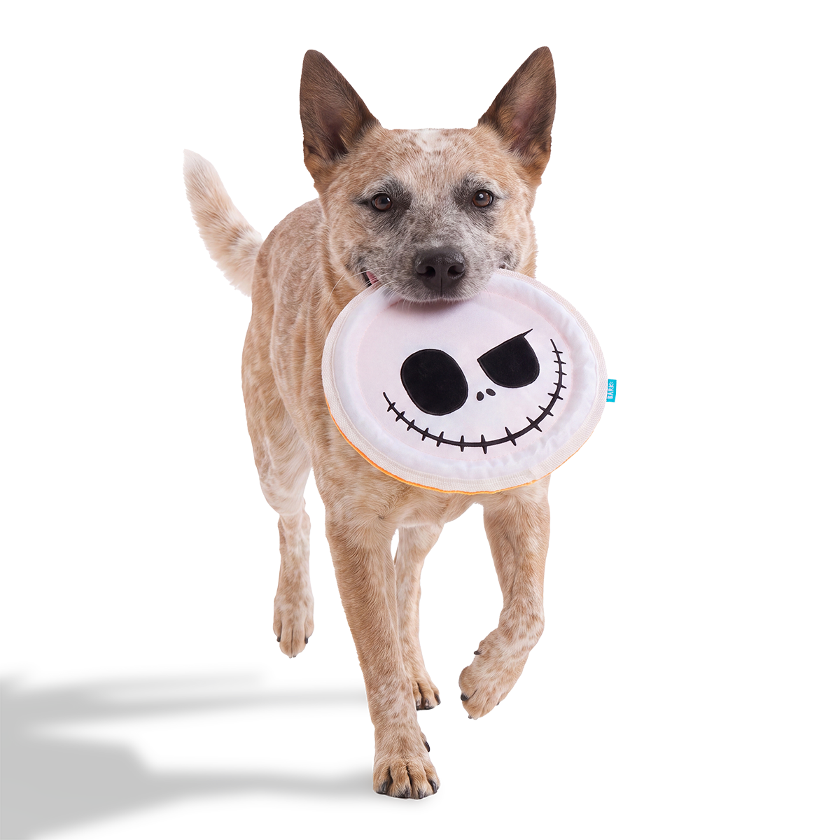 The Pumpkin Fling Plush Fetch Dog Toy