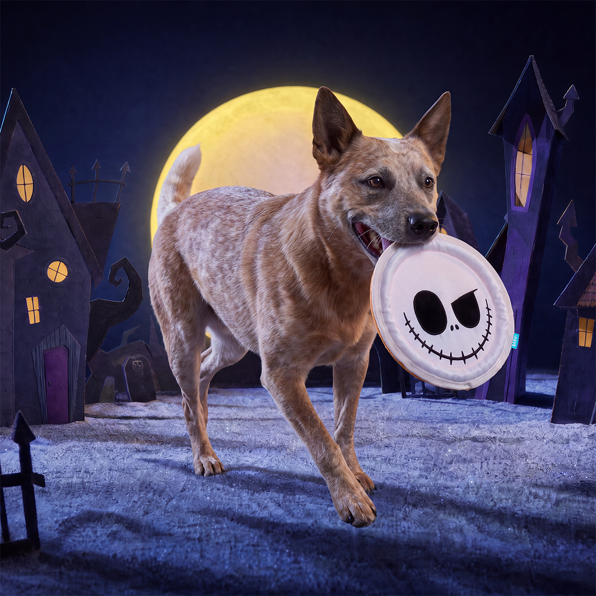 The Pumpkin Fling Plush Fetch Dog Toy