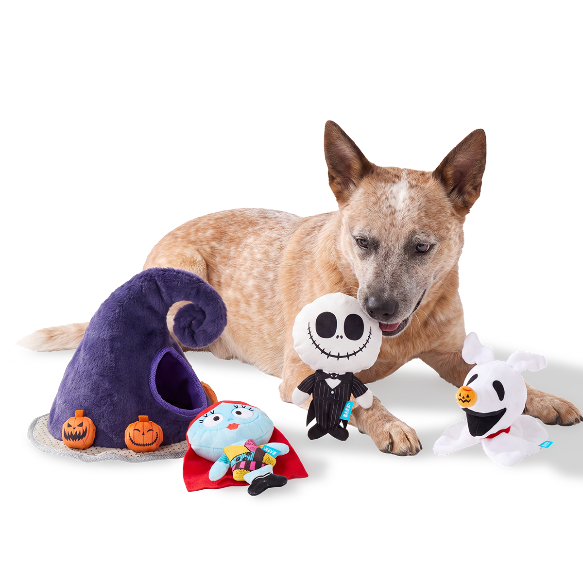 Halloween Town Hunt Plush Extra-Large + Multi-Part + Enrichment Dog Toy