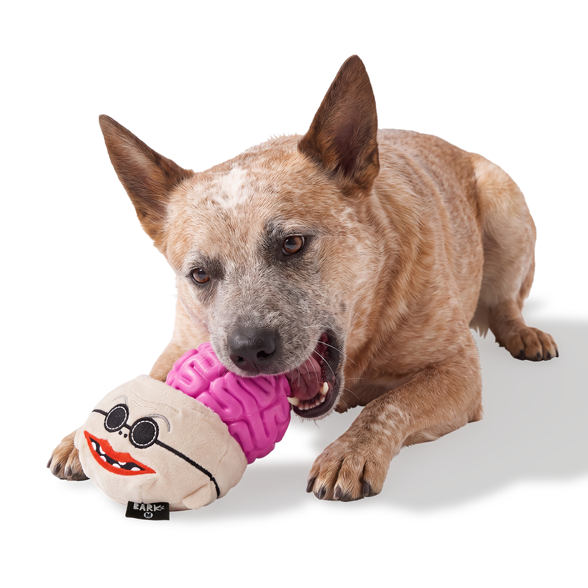 Dr. Finkelsqueak Super Chewer Durable 2-in-1 + Fetch Dog Toy