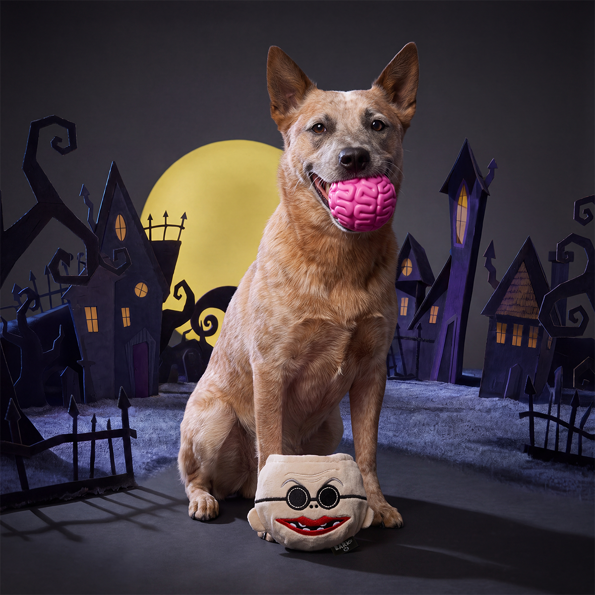 Dr. Finkelsqueak Super Chewer Durable 2-in-1 + Fetch Dog Toy