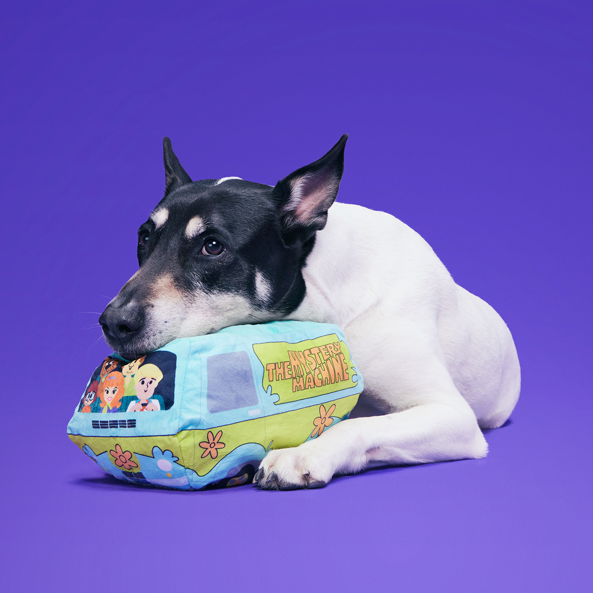 Howloween Mystery Machine™ Plush Multi-Part Enrichment Dog Toy