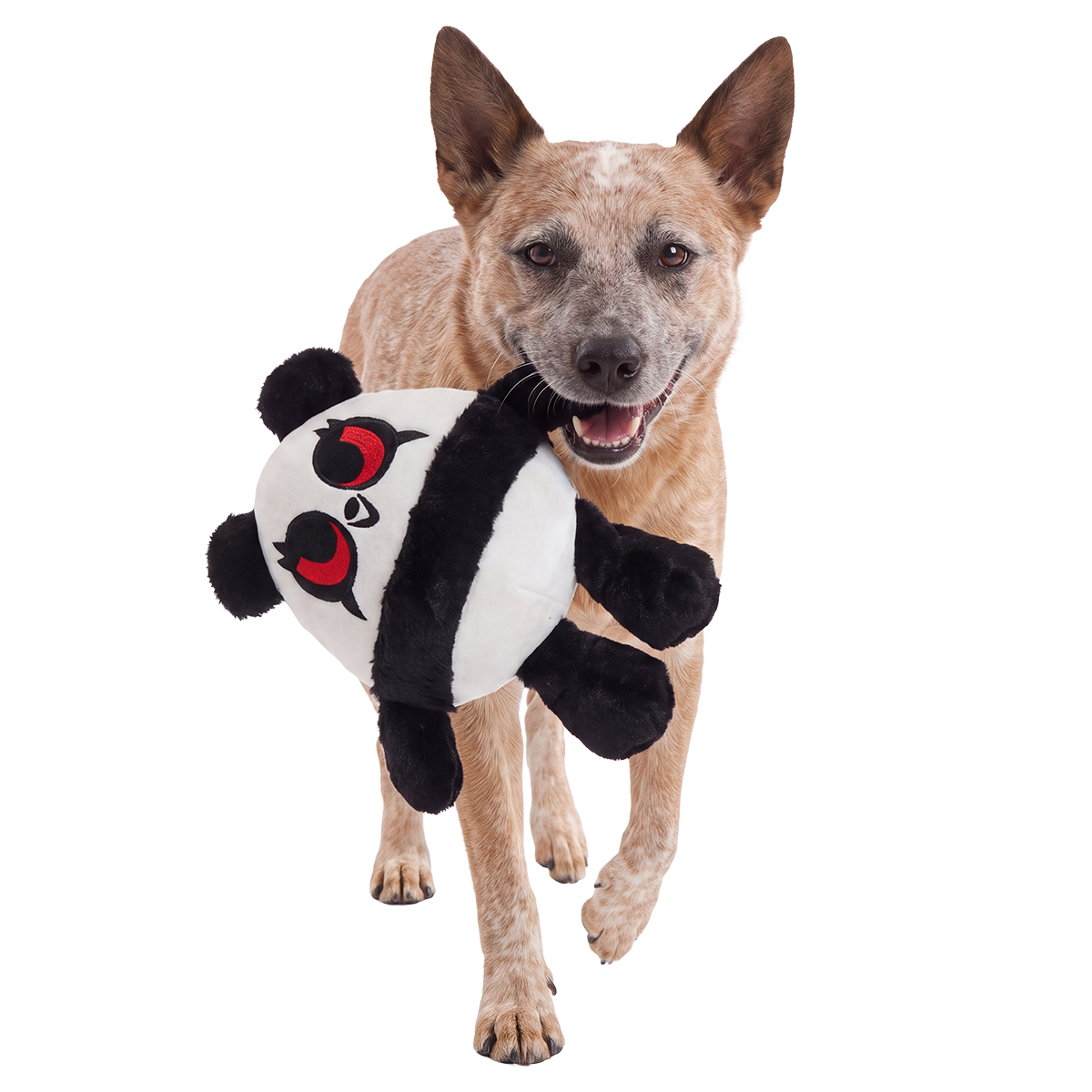 Thrash Panda Plush 2-in-1 + Tug Dog Toy