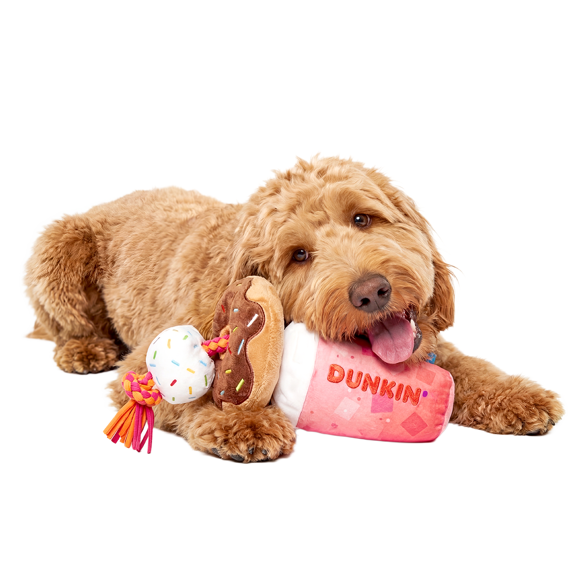 Dunkin'® Strawberry Dragonfruit Refresher & Donuts Plush Tug Dog Toy