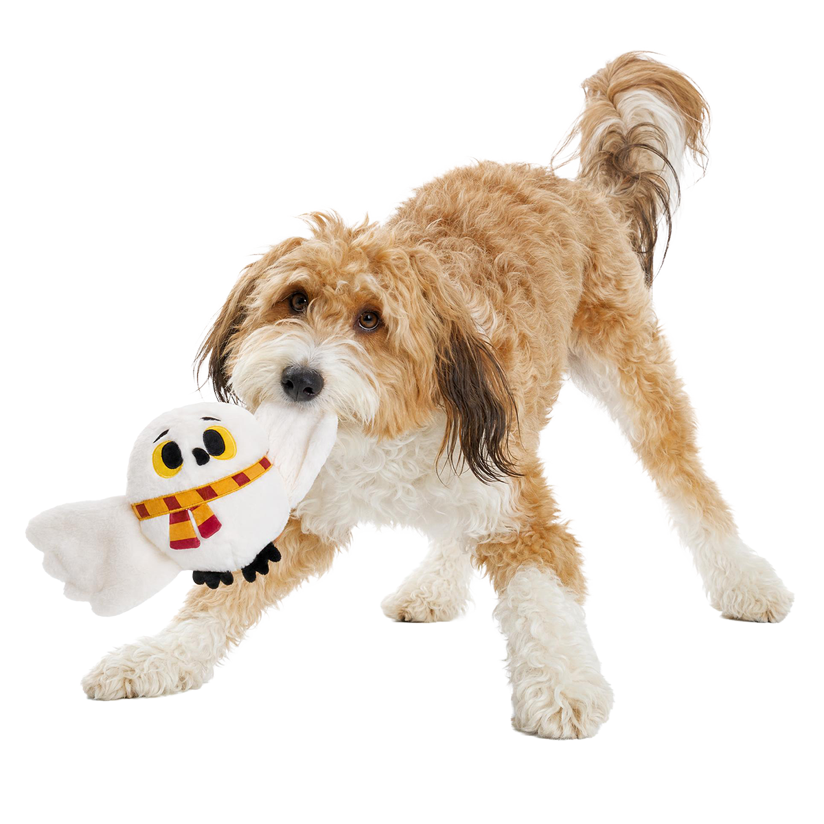 Hedwig™ Plush Extra-Large + Tug Dog Toy