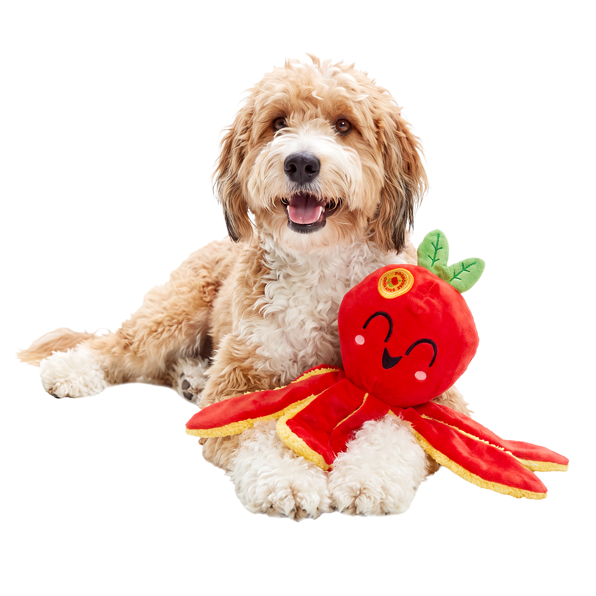 Ollie the Octopus Club, Plush Tug Monthly Dog Toys