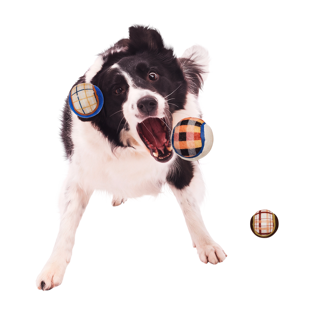 Tennis Ball Club, 3 Squeaky Monthly Tennis Ball Dog Toys