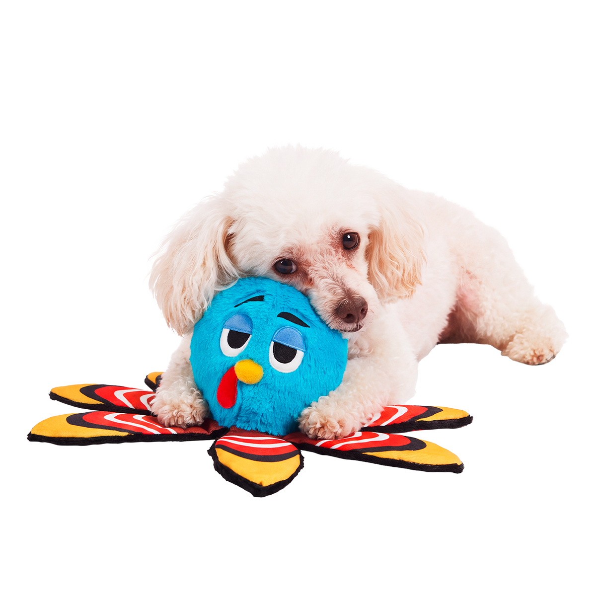 Ollie the Octopus Club, Plush Tug Monthly Dog Toys