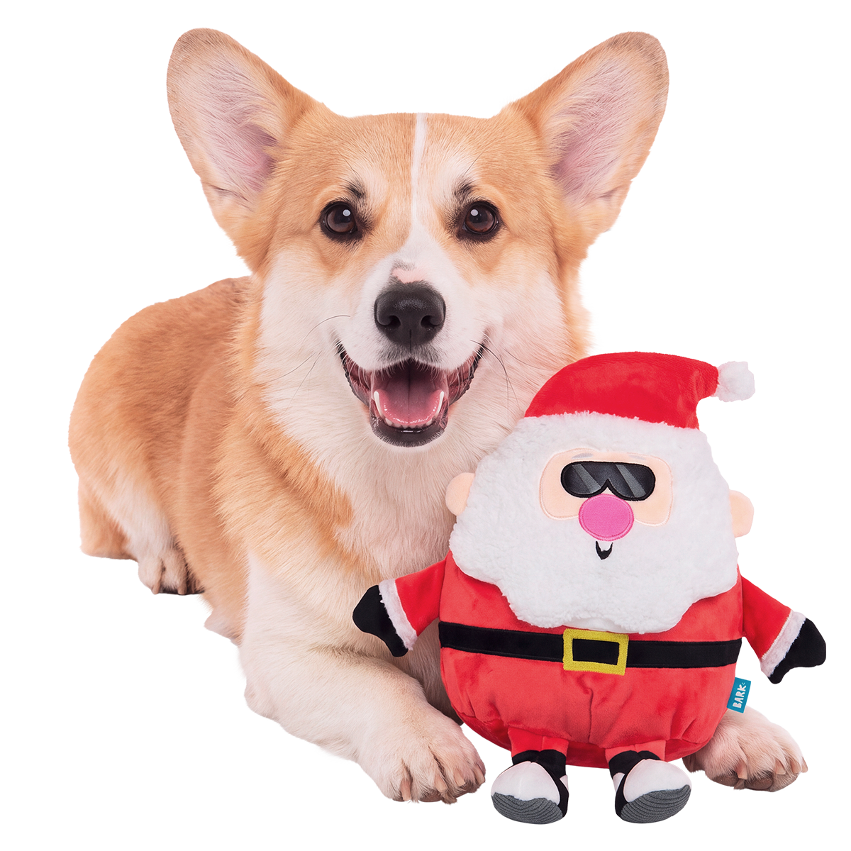 Jolly Old Saint Rizz Plush Extra-Large + Enrichment Dog Toy – BARK