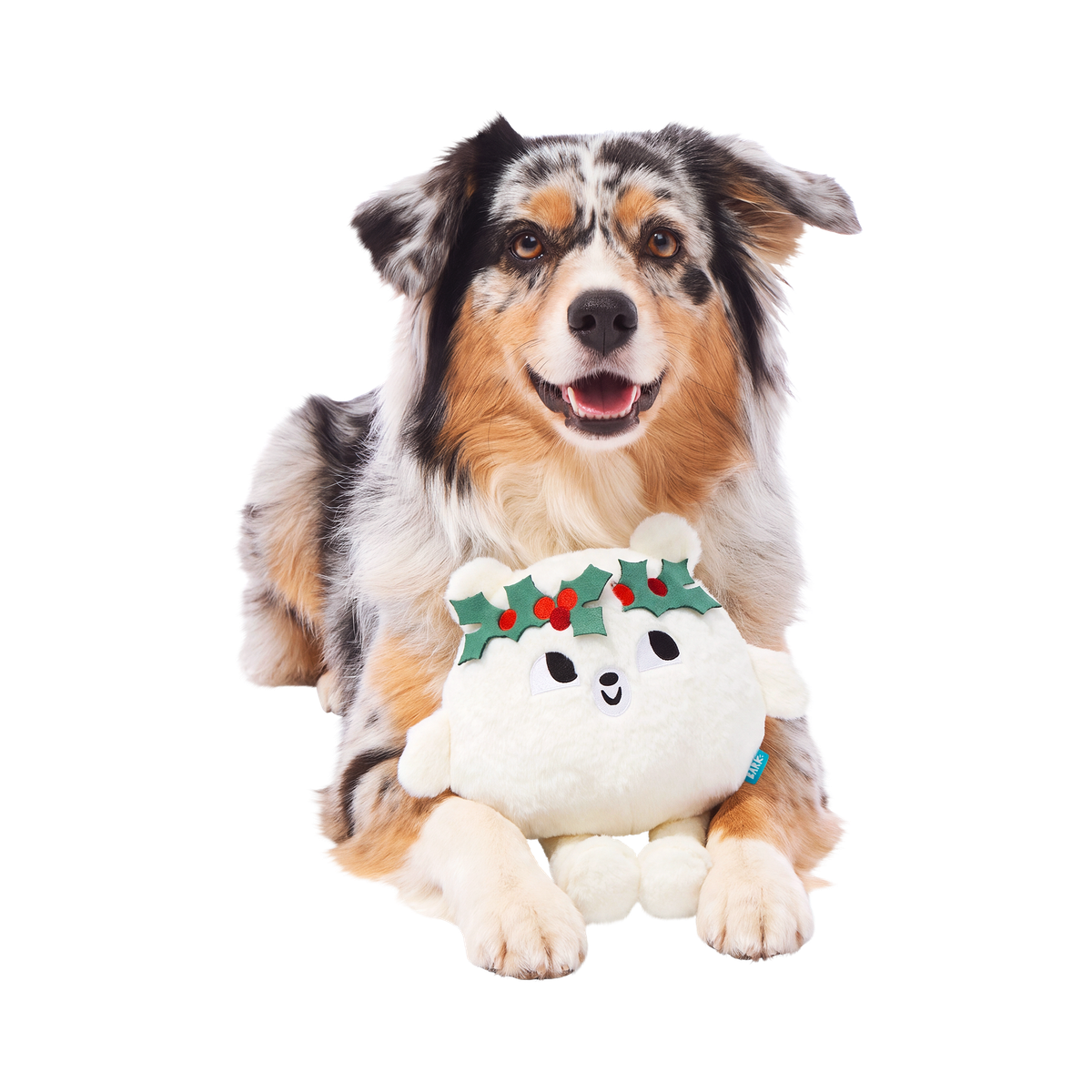 Holly Jolly Polly Plush 2-in-1 + Fetch Dog Toy