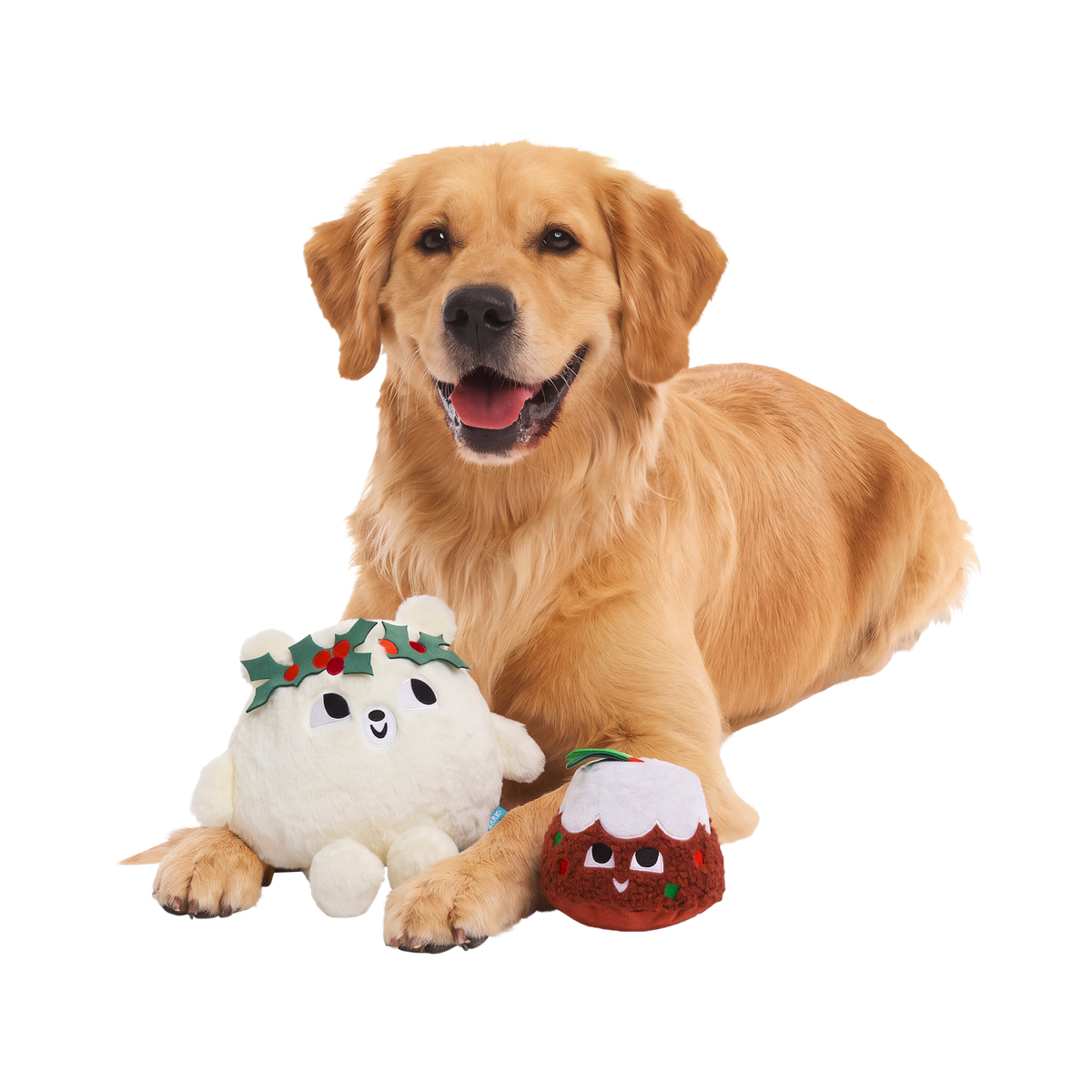 Holly Jolly Polly Plush 2-in-1 + Fetch Dog Toy