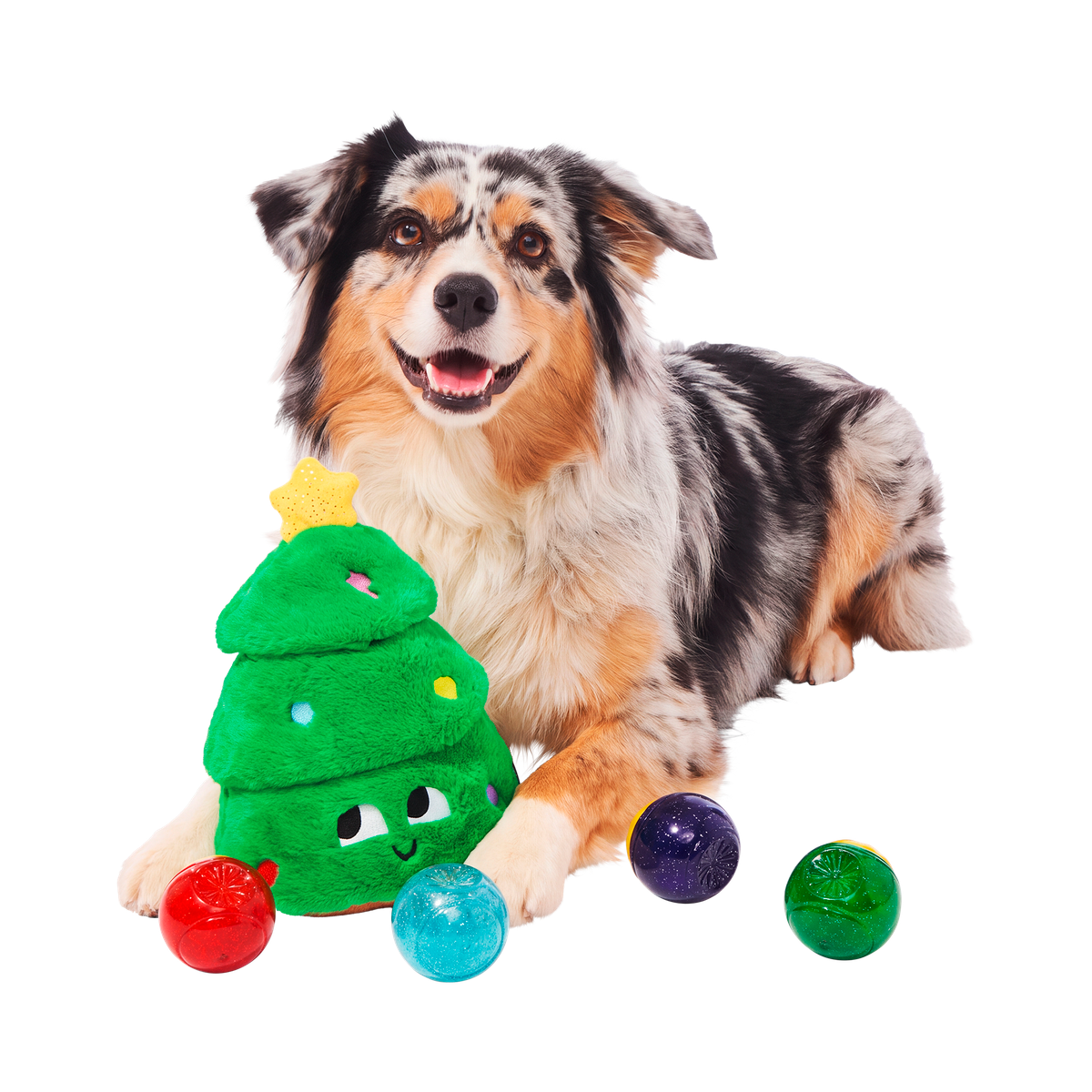 Tannenbomb Tom Super Chewer Durable 2-in-1 + Fetch Dog Toy