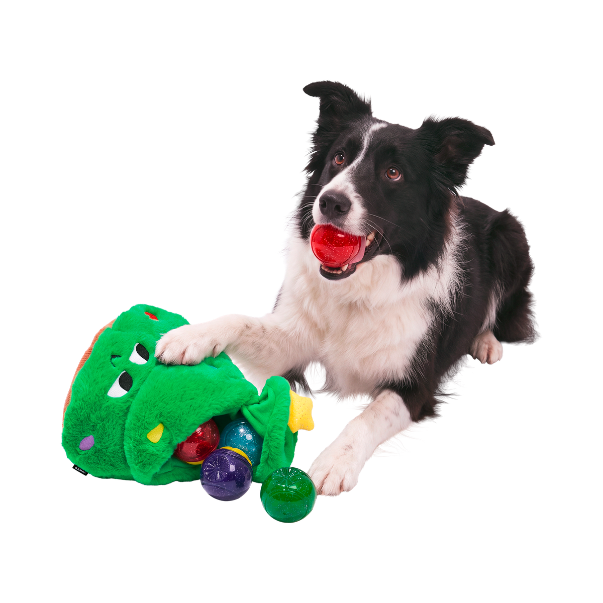 Tannenbomb Tom Super Chewer Durable 2-in-1 + Fetch Dog Toy