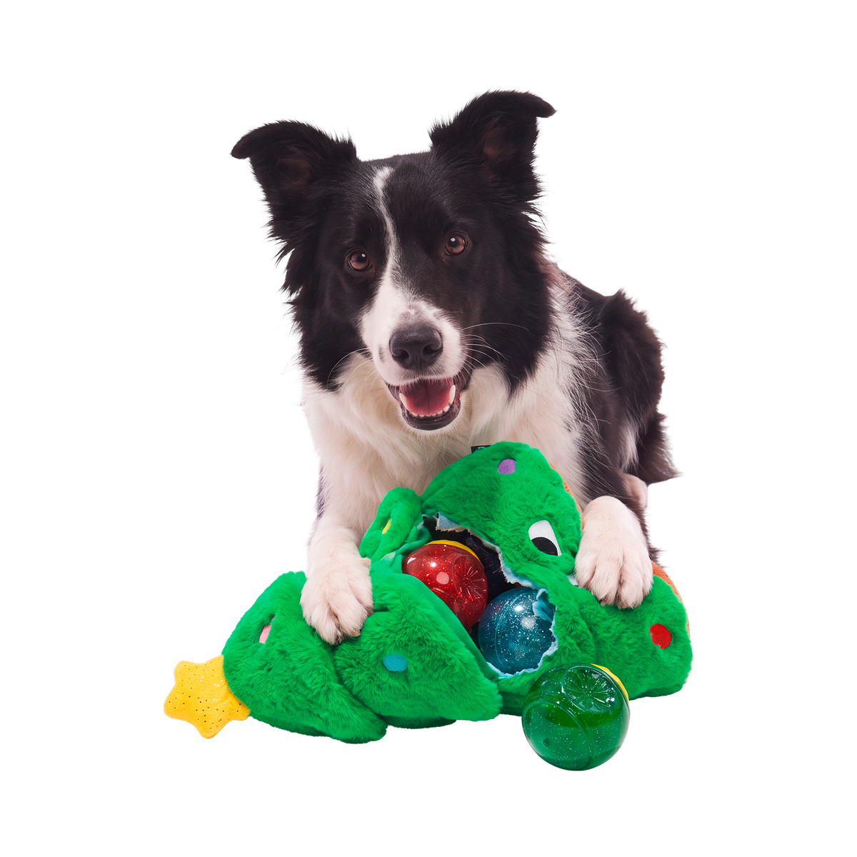 Tannenbomb Tom Super Chewer Durable 2-in-1 + Fetch Dog Toy