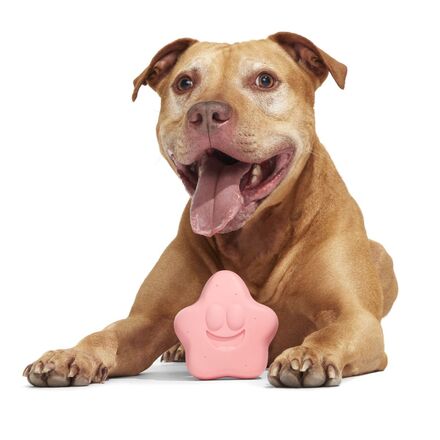 Super Chewer SpongeBob Bundle